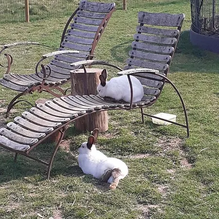 Campsite La Cabane De Tic Et Tac Tailles